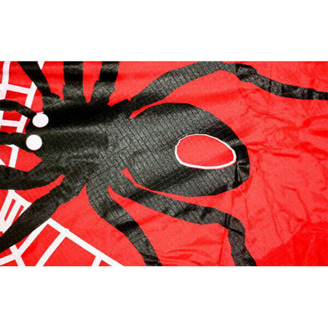 Windspeed Spider Delta kite